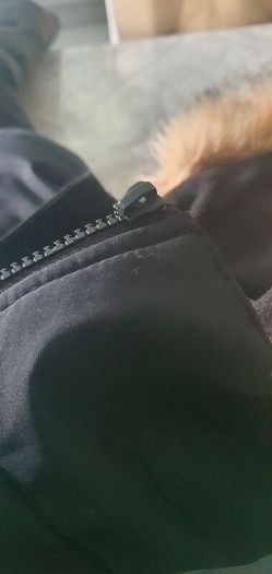 zavetti canada jacket