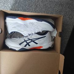 assics trainers