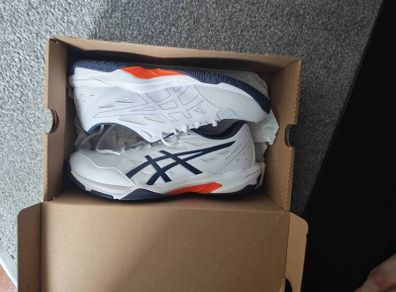 assics trainers