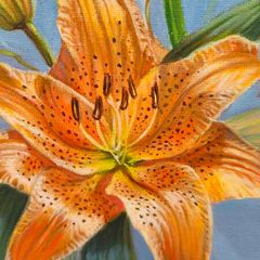 Lilies