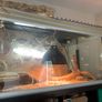 Vivarium bundle Image 3