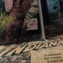 Damage ! Issue #4 ! Posion Ivy Cover ! 2018 ! by DC Comics ! Image 4