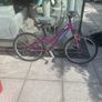 2 bikes boy and girl Image 3