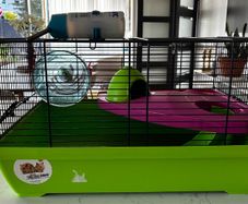 Hamster Cage