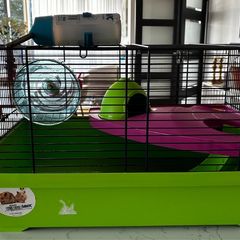 Hamster Cage