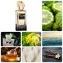 Musc Palawan by  Lorga Parfums Image 3