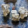 Fish Keeping aquarium decor / accessories Image 9
