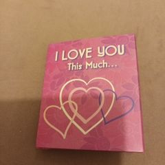 valentine mini love book