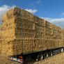 Straw & Hay 8x4x4 8x4x3 Image 8