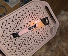 Dog Collar (Brand new with tags)