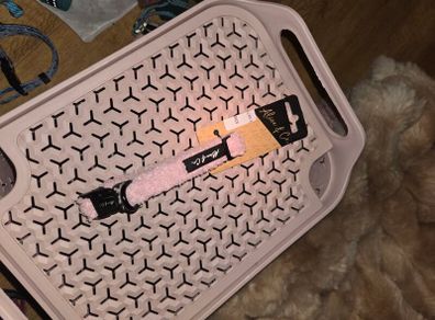 Dog Collar (Brand new with tags)