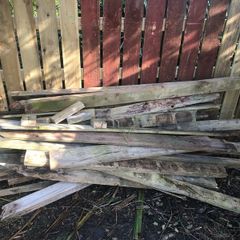 free timber fire