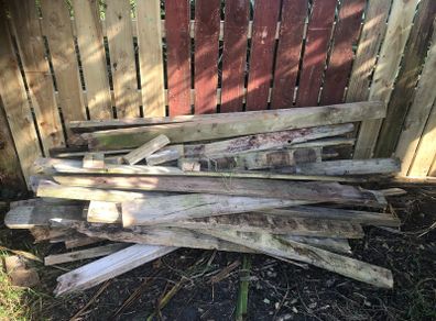 free timber fire