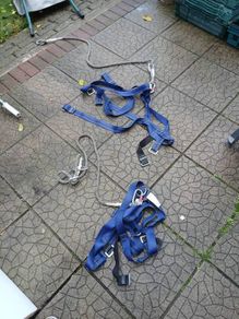 body safety harness