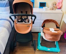 Push chair and baby walker