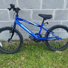 Ammaco Typhoon 20" single speed bike