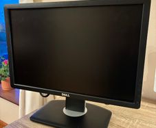 Dell P1913t Monitor