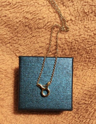 Taurus Zodiac Necklace Celestial & Personal Charm