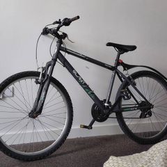 Apollo Slant Quick Sale