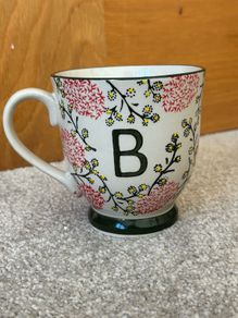 Carraig Donn Alphabet Letter B Mug