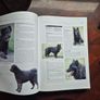 Encyclopedia of Dogs Image 4