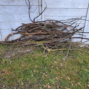 fire wood for free