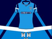 Limited Edition 1995 Dublin GAA Jersey Pin Badge
