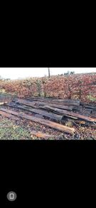 timber planks