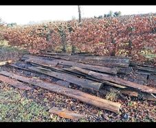 timber planks