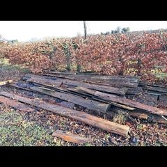 timber planks