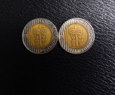Israel Coins : 10 New Sheqalim (2) - 1995