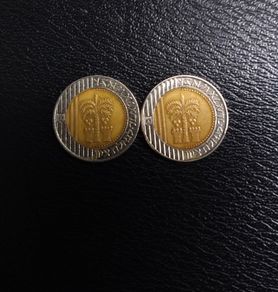 Israel Coins : 10 New Sheqalim (2) - 1995