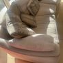 Large Sofa Image 2