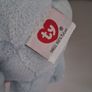 teddy Image 3