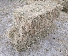 Small Bales of Hay