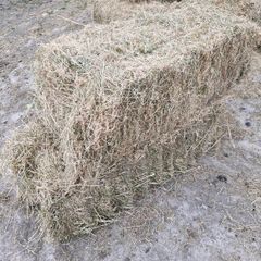Small Bales of Hay