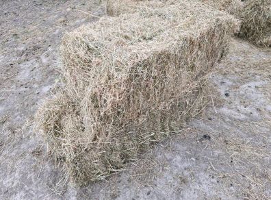 Small Bales of Hay