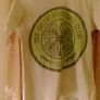 Boys Celtic t shirt age 8/10 yr Image 2