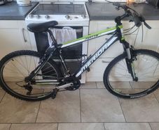 Mountain bike