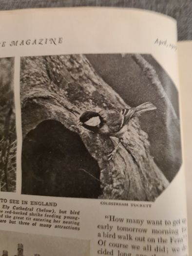 Rare Vintage.  1929. April Edition.  Volume 13 No4 Magazine.