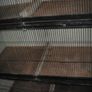 Bird Cages Image 3
