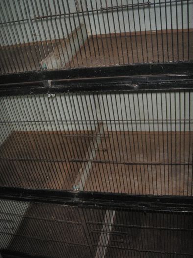 Bird Cages