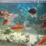 Fish tank Image 2