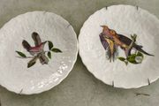 SET OF 2 HANGING PLATE Alfred Meakin Audubon Birds of America Teacup Saucer 5.75 Inches.