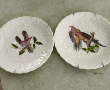 SET OF 2 HANGING PLATE Alfred Meakin Audubon Birds of America Teacup Saucer 5.75 Inches.