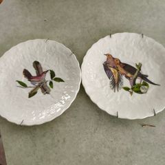 SET OF 2 HANGING PLATE Alfred Meakin Audubon Birds of America Teacup Saucer 5.75 Inches.