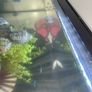 aquarium Image 3