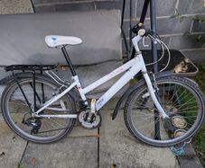 Teen Raleigh Krush Bike