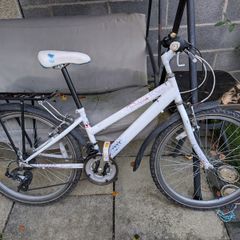 Teen Raleigh Krush Bike