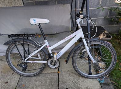 Teen Raleigh Krush Bike